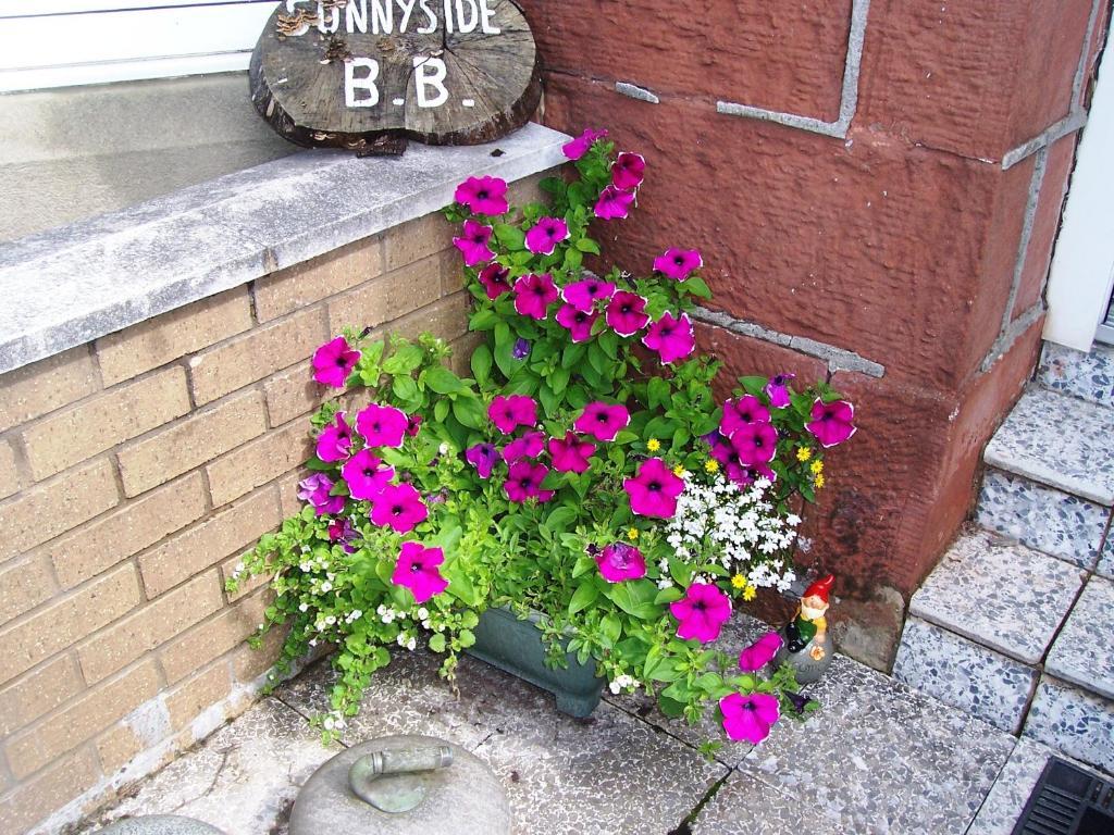 Sunnyside B&B Balloch Exterior foto